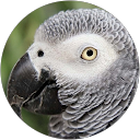 Elmins Mojica profile picture